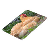 Magnet Flexible Aimant au poulet (Côté Gauche)