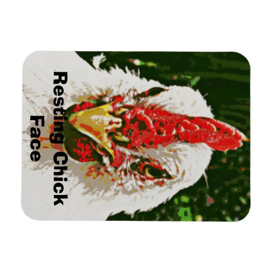 Magnet Flexible Aimant au poulet (Horizontal)