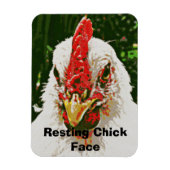 Magnet Flexible Aimant au poulet (Vertical)