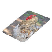 Magnet Flexible Aimant au poulet (Côté Gauche)