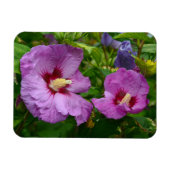 Magnet Flexible Aimant aux fleurs d'hibiscus pourpre (Horizontal)