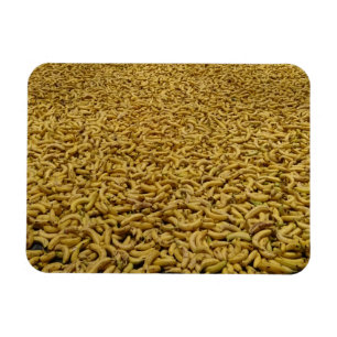 Magnet Flexible Aimant Bananes 3"x4"