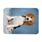 Magnet Flexible Aimant beagle Puppy (Horizontal)