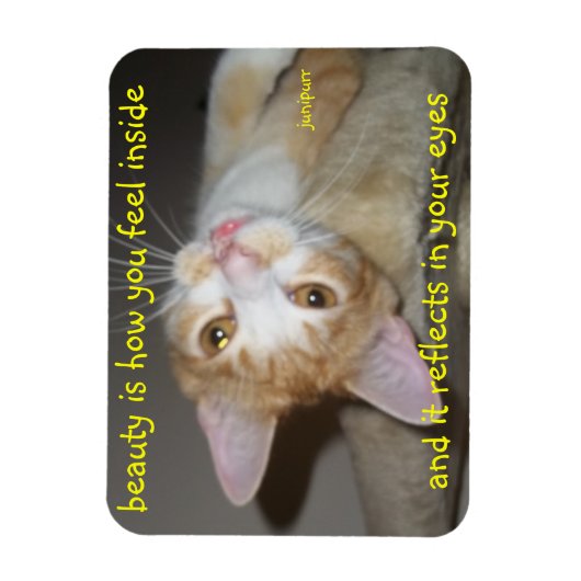 Magnet Flexible aimant beauté junipurr (Vertical)