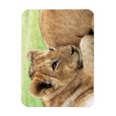 Magnet Flexible Aimant bébé tigre (Vertical)