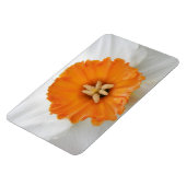 Magnet Flexible Aimant blanc de jonquille Premium (Côté Gauche)