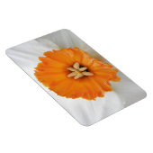 Magnet Flexible Aimant blanc de jonquille Premium (Côté Droit)