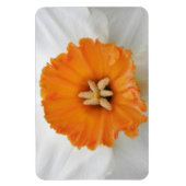 Magnet Flexible Aimant blanc de jonquille Premium (Vertical)