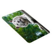 Magnet Flexible Aimant blanc Tigre (Côté Droit)