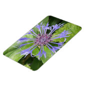 Magnet Flexible Aimant bleu Cornflower Premium (Côté Gauche)