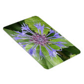Magnet Flexible Aimant bleu Cornflower Premium (Côté Droit)