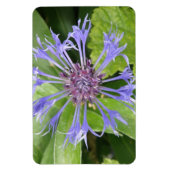 Magnet Flexible Aimant bleu Cornflower Premium (Vertical)