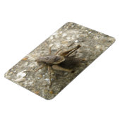 Magnet Flexible Aimant Brown Cricket Premium (Côté Gauche)