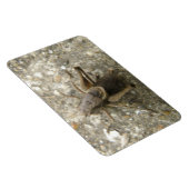 Magnet Flexible Aimant Brown Cricket Premium (Côté Droit)