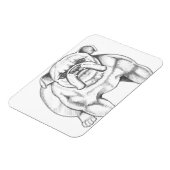 Magnet Flexible Aimant Bulldog (Côté Gauche)
