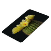 Magnet Flexible Aimant Cactus (Côté Gauche)