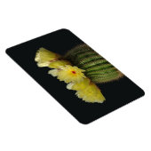 Magnet Flexible Aimant Cactus (Côté Droit)