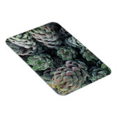 Magnet Flexible Aimant Cactus 3 pouces x 4 pouces (Côté Droit)