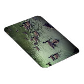 Magnet Flexible Aimant canadien d'oies et de canards colverts (Côté Droit)