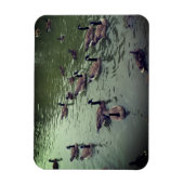 Magnet Flexible Aimant canadien d'oies et de canards colverts (Vertical)