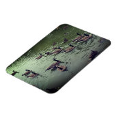 Magnet Flexible Aimant canadien d'oies et de canards colverts (Côté Gauche)