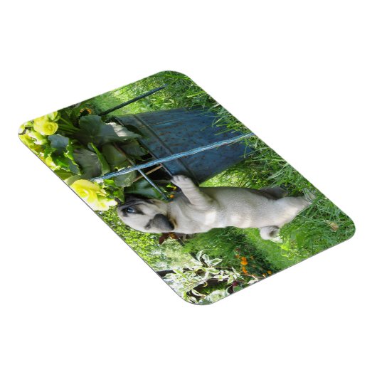 Magnet Flexible Aimant carlin et fleurs (Côté Droit)