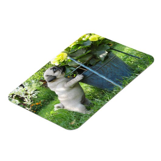 Magnet Flexible Aimant carlin et fleurs (Côté Gauche)