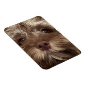 Magnet Flexible aimant "COCKAPOO" (Côté Droit)