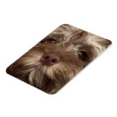 Magnet Flexible aimant "COCKAPOO" (Côté Gauche)