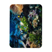 Magnet Flexible Aimant Coral Reef (Vertical)
