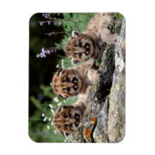 Magnet Flexible Aimant Cubes de cougar (Vertical)