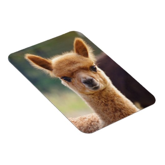 Magnet Flexible Aimant Cute Alpaca (Côté Droit)
