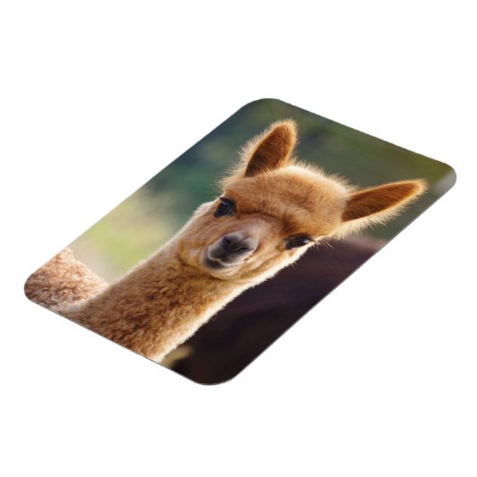Magnet Flexible Aimant Cute Alpaca (Côté Gauche)