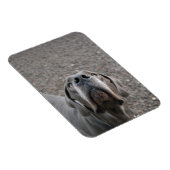Magnet Flexible Aimant Danois (Côté Droit)