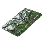 Magnet Flexible Aimant d'arbre paisible (Côté Gauche)