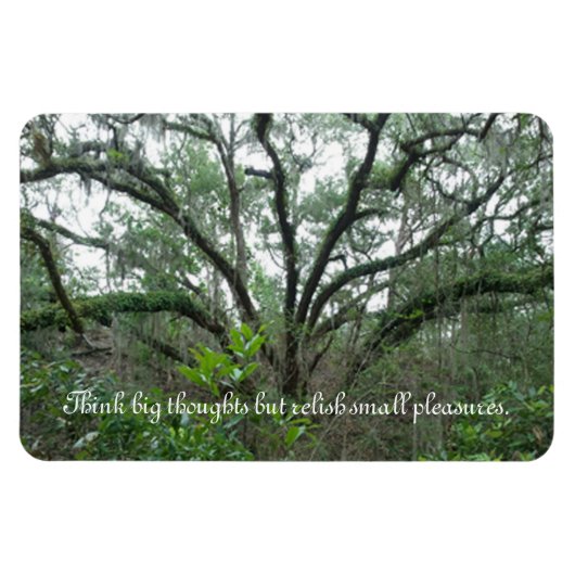 Magnet Flexible Aimant d'arbre paisible (Horizontal)