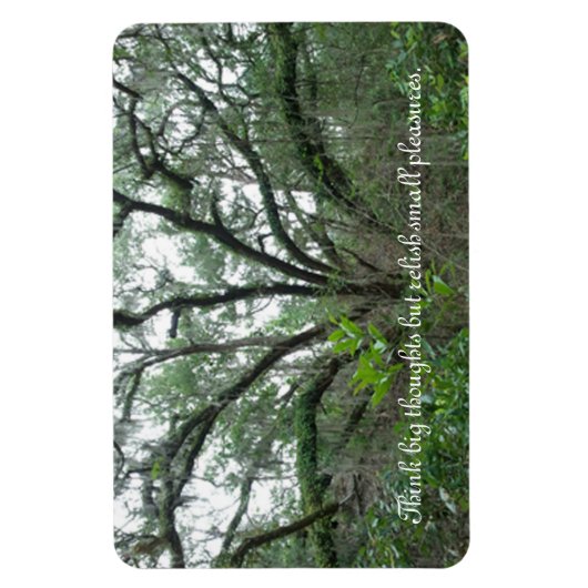 Magnet Flexible Aimant d'arbre paisible (Vertical)