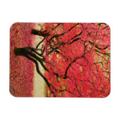 Magnet Flexible Aimant d'arbres à érable (Horizontal)