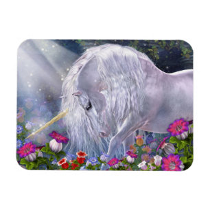 Magnet Flexible Aimant d'Avalon Flexi