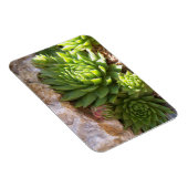 Magnet Flexible Aimant de cactus (Côté Droit)