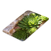 Magnet Flexible Aimant de cactus (Côté Gauche)