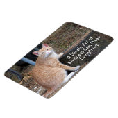 Magnet Flexible Aimant de chat de tabby orange (Côté Gauche)