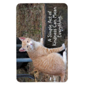 Magnet Flexible Aimant de chat de tabby orange (Vertical)