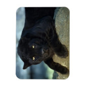 Magnet Flexible Aimant de chat noir (Vertical)