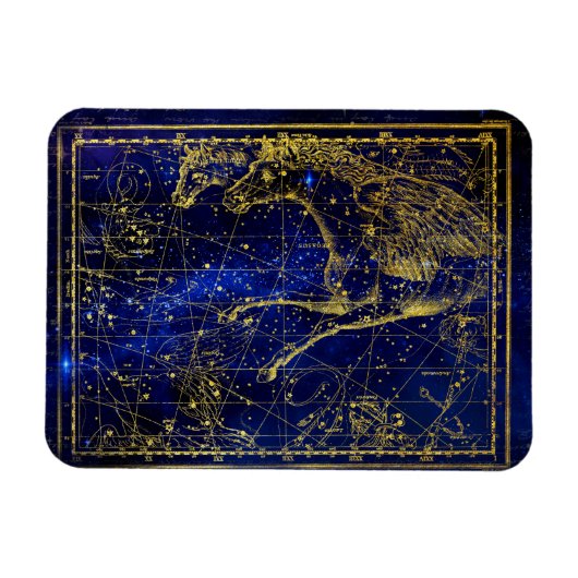 Magnet Flexible aimant de constellation de chevaux et de dauphins (Horizontal)