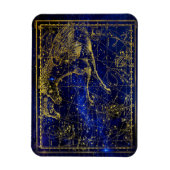 Magnet Flexible aimant de constellation de chevaux et de dauphins (Vertical)