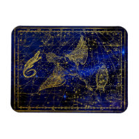 aimant de constellation de lézard et de cygne