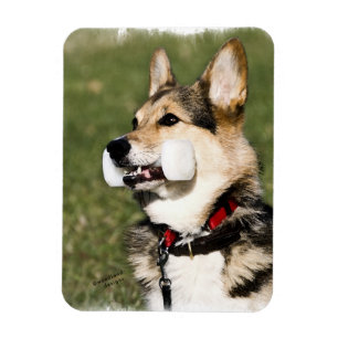 Magnet Flexible Aimant de corgi