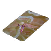 Magnet Flexible Aimant de crevette nettoyant tacheté (Côté Gauche)