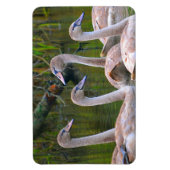 Magnet Flexible Aimant de cygne (Vertical)